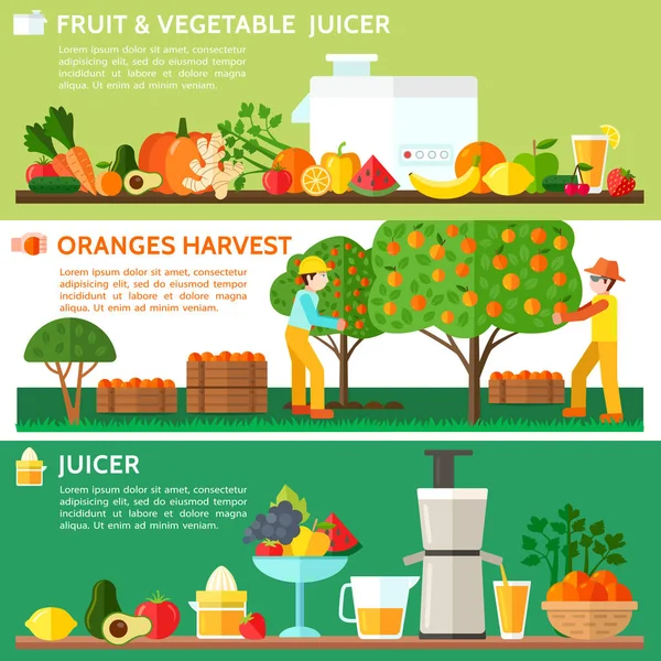 Exprimidor Frutas Verduras Cosecha Naranja — Vector de stock