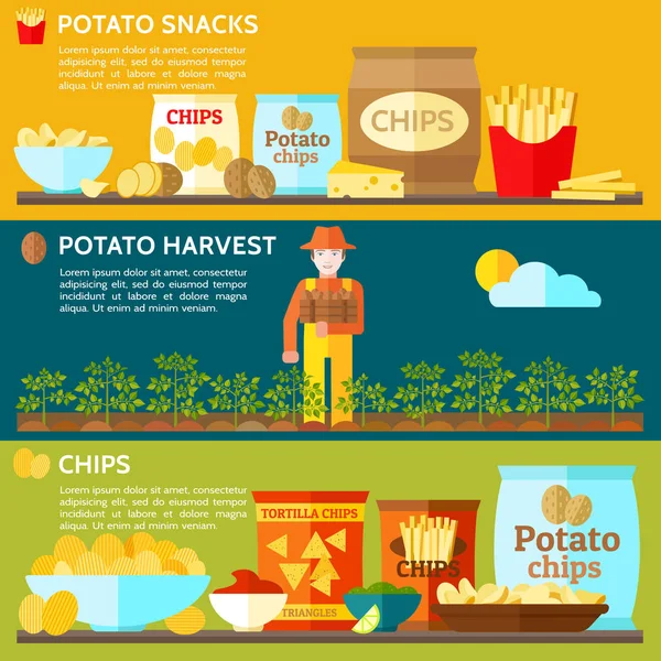 Potato Harvest Potato Snacks Chips Vector Illustration — Stock Vector