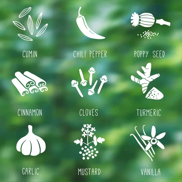Fresh Herbs Spices Icon Set Cumin Chili Pepper Poppy Seed Royalty Free Stock Vectors