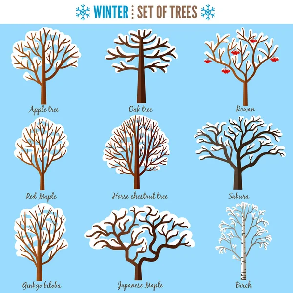 Reihe Von Winterbäumen Auf Weißem Hintergrund Apfelbaum Eiche Eberesche Roter — Stockvektor