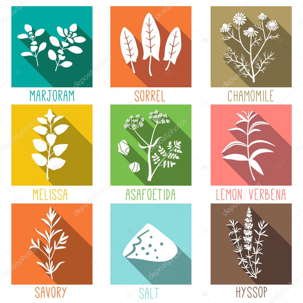 Fresh herbs and spices icon set. Marjoram, Sorrel, Chamomile, Melissa, Asafoetida, Lemon verbena, Savory, Salt, Hyssop. Vector illustration.