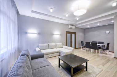 Oturma odasında bir çift gri ve beyaz tonlarda modern tasarım iç.