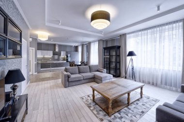 Oturma odasında bir çift gri ve beyaz tonlarda modern tasarım iç.