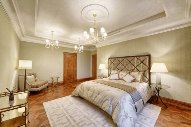 Bir lüks evde tasarımcı modern yenileme. Şık yatak odası iç Çift Kişilik Yatak.