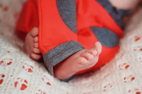 Piernas Pequeñas Bebé Recién Nacido —  Fotos de Stock