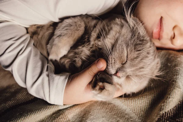 Rapaz e gato. Gato escocês nos braços de um menino. O conceito de um animal de estimação na educação familiar e um lar amoroso. Horizontal . — Fotografia de Stock