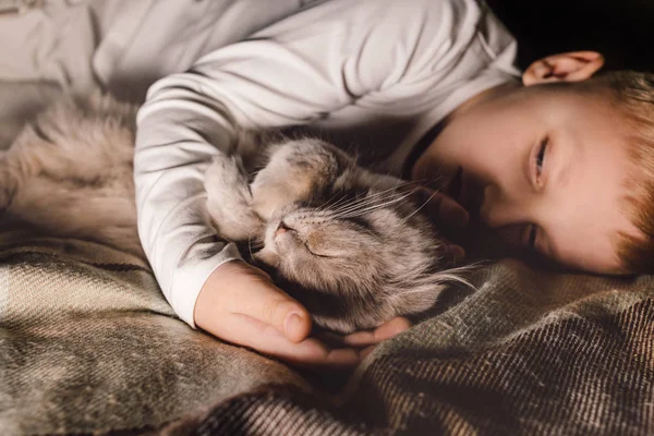 Oğlan ve kedi. İskoç kedisi bir çocuğun kollarında. Aile eğitiminde evcil hayvan konsepti ve sevgi dolu bir ev. Yatay. — Stok fotoğraf