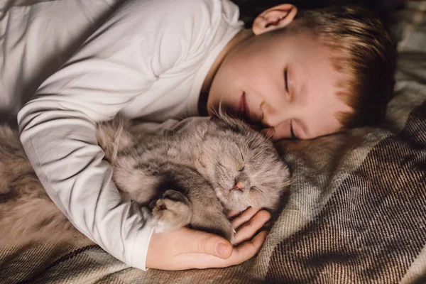 Junge und Katze. Schottische Faltkatze in den Armen eines Jungen. Das Konzept eines Haustieres in der Familienerziehung und ein liebevolles Zuhause. Horizontal. — Stockfoto