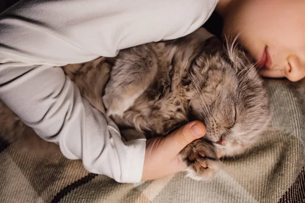 Junge und Katze. Schottische Faltkatze in den Armen eines Jungen. Das Konzept eines Haustieres in der Familienerziehung und ein liebevolles Zuhause. Horizontal. — Stockfoto