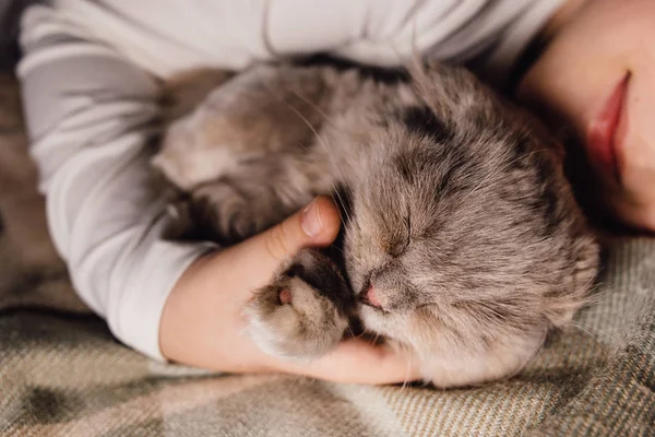 Boy and cat. Scottish fold cat in the arms of a boy. The concept of a pet in family education and a loving home. Horizontal. — Stock Photo, Image