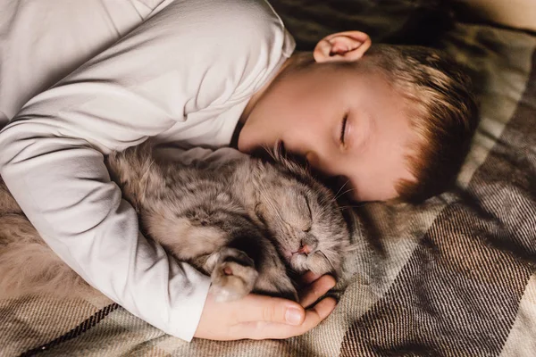 Junge und Katze. Schottische Faltkatze in den Armen eines Jungen. Das Konzept eines Haustieres in der Familienerziehung und ein liebevolles Zuhause. Horizontal. — Stockfoto