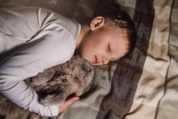 Rapaz e gato. Gato escocês nos braços de um menino. O conceito de um animal de estimação na educação familiar e um lar amoroso. Colocação plana . — Fotografia de Stock