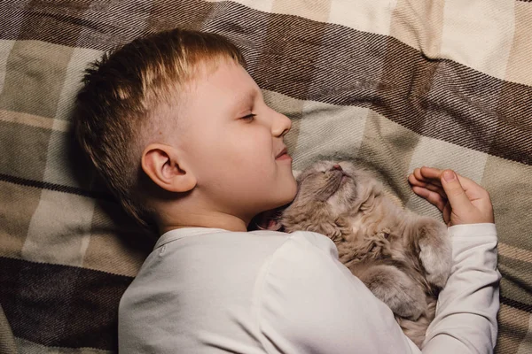 Junge und Katze. Schottische Faltkatze in den Armen eines Jungen. Das Konzept eines Haustieres in der Familienerziehung und ein liebevolles Zuhause. Horizontal. — Stockfoto