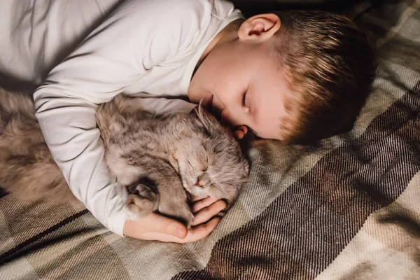 男孩和猫。苏格兰人把猫夹在一个男孩的怀里.家庭教育中的宠物和有爱心的家庭的概念。1.横向. — 图库照片