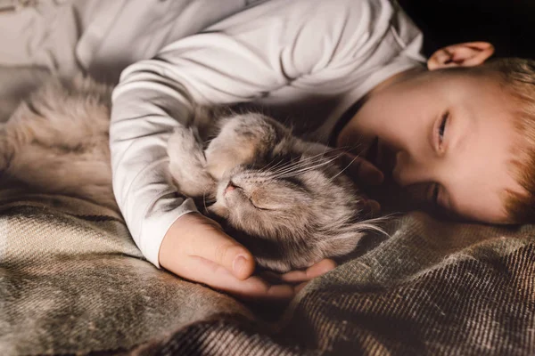 Rapaz e gato. Gato escocês nos braços de um menino. O conceito de um animal de estimação na educação familiar e um lar amoroso. Horizontal . — Fotografia de Stock