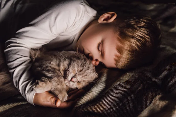 男孩和猫。苏格兰人把猫夹在一个男孩的怀里.家庭教育中的宠物和有爱心的家庭的概念。1.横向. — 图库照片