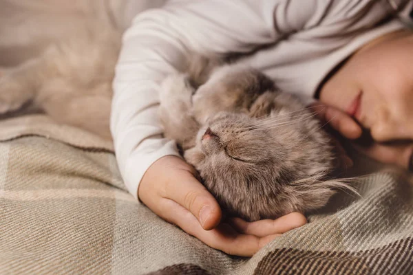 男孩和猫。苏格兰人把猫夹在一个男孩的怀里.家庭教育中的宠物和有爱心的家庭的概念。1.横向. — 图库照片