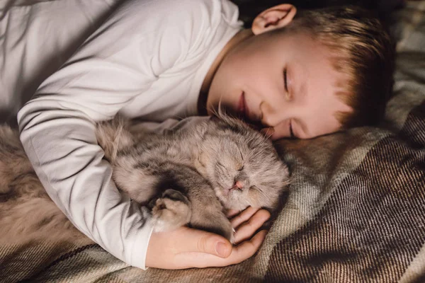 男の子と猫。スコットランド人は男の子の腕の中で猫を折ります。家族教育と愛情のある家庭でのペットの概念。水平. — ストック写真