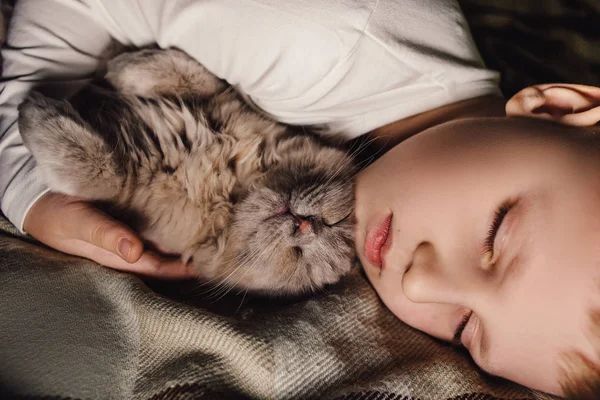 Junge und Katze. Schottische Faltkatze in den Armen eines Jungen. Das Konzept eines Haustieres in der Familienerziehung und ein liebevolles Zuhause. Horizontal. — Stockfoto