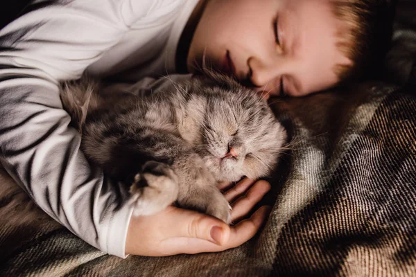 男孩和猫。苏格兰人把猫夹在一个男孩的怀里.家庭教育中的宠物和有爱心的家庭的概念。1.横向. — 图库照片