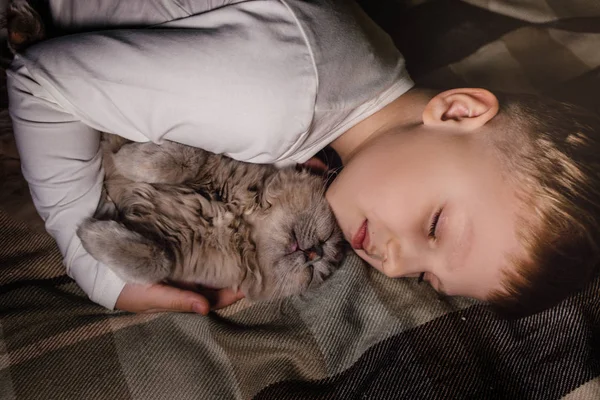 男孩和猫。苏格兰人把猫夹在一个男孩的怀里.家庭教育中的宠物和有爱心的家庭的概念。1.横向. — 图库照片