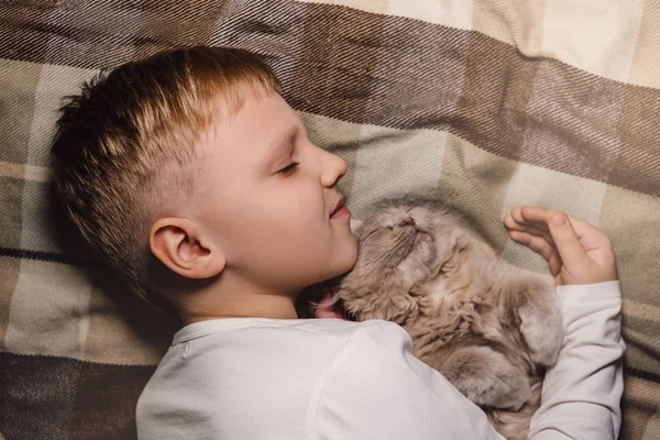 男の子と猫。スコットランド人は男の子の腕の中で猫を折ります。家族教育と愛情のある家庭でのペットの概念。平置き. — ストック写真