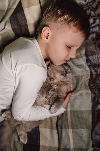 Junge und Katze. Schottische Faltkatze in den Armen eines Jungen. Das Konzept eines Haustieres in der Familienerziehung und ein liebevolles Zuhause. Horizontal. — Stockfoto