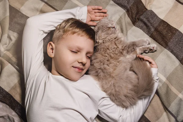 男孩和猫。苏格兰人把猫夹在一个男孩的怀里.家庭教育中的宠物和有爱心的家庭的概念。平铺. — 图库照片