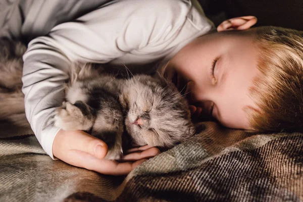 男の子と猫。スコットランド人は男の子の腕の中で猫を折ります。家族教育と愛情のある家庭でのペットの概念。水平. — ストック写真