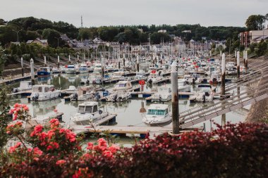 Saint-Valery-en-Caux limanındaki yatlar. Volse Körfezi 'nin güzel çiçekli çalıları ve yatları.
