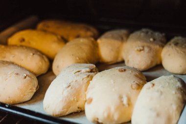 Fırındaki bir tepside bir sürü çiğ çörek. Çiğ hamur. Pişmemiş çörekler. Seçici odak