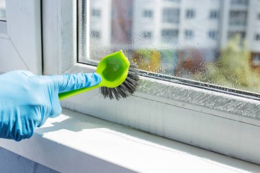 Koruyucu mavi eldivenli bir kadın pencereyi fırçayla yıkıyor. Temizlik kavramı