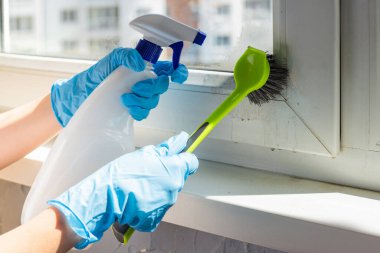 Koruyucu mavi eldivenli bir kadın pencereyi fırçayla yıkıyor. Temizlik kavramı