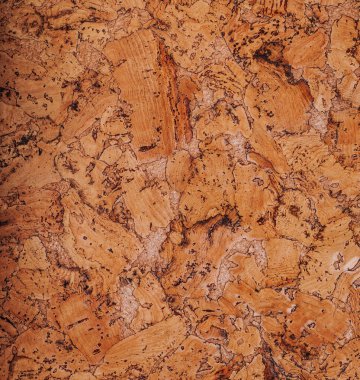 Mantar kaplama dokusu arka planı. Boşluğu kopyala