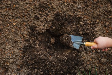 Bahçedeki Toprakta Küçük Bir Maça