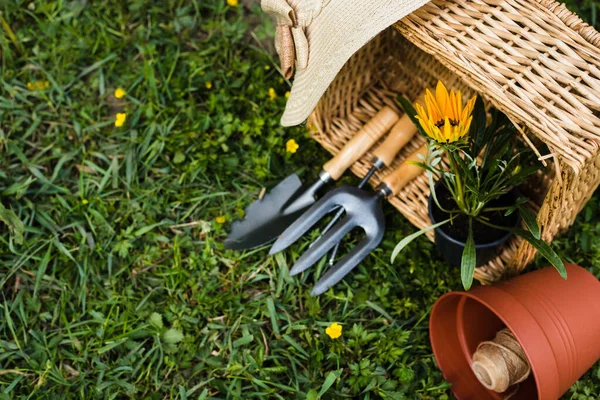 Flores Primavera Cesta Vime Com Ferramentas Jardim Conceito Jardinagem — Fotografia de Stock