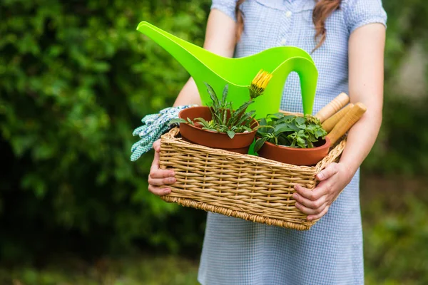 Lächelnde Süße Gärtnerin Mit Korb Und Gartengeräten Garten Einem Sonnigen — Stockfoto