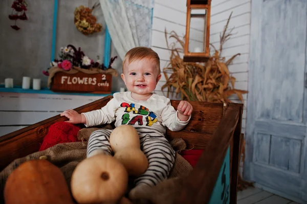 Young caucasian baby boy sitting on wheelbarrow and pumpkin deco — 스톡 사진
