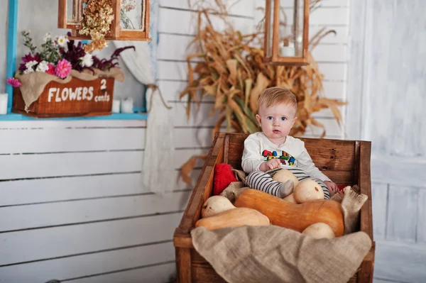 Young caucasian baby boy sitting on wheelbarrow and pumpkin deco — 스톡 사진