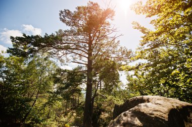 Dovbush kayalar, o grup doğal ve insan yapımı yapıları oyulmuş