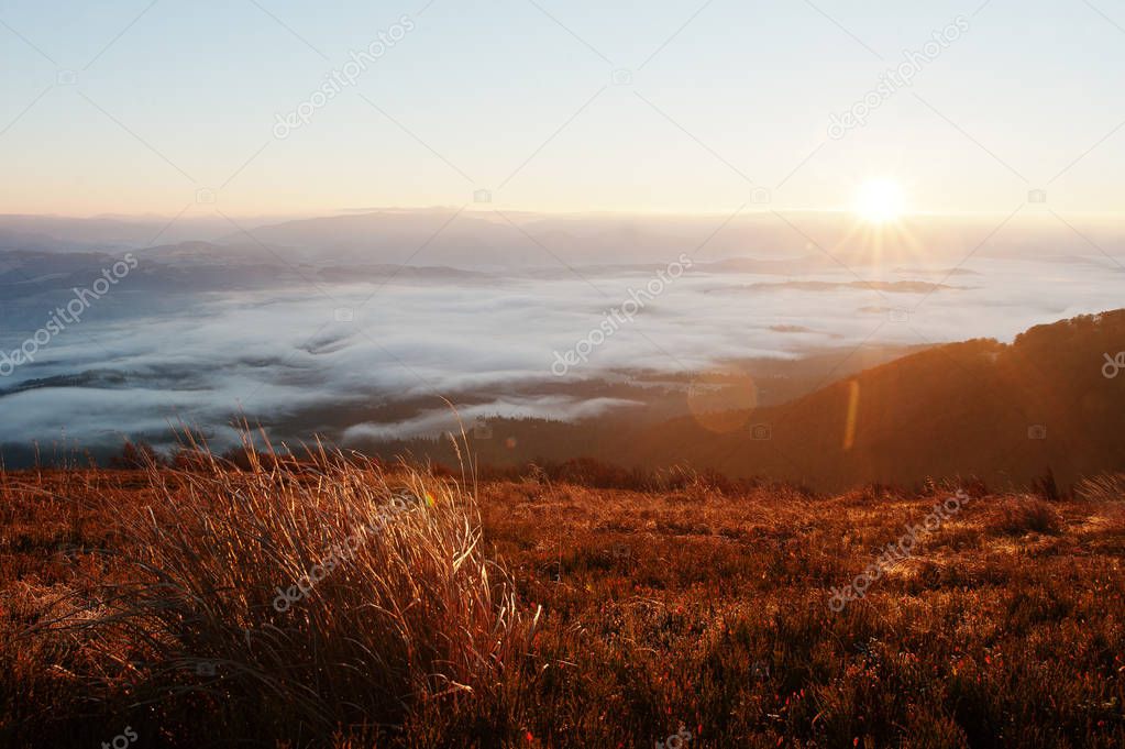 Amazing picturesque landscape of Carpathian mountains on fog and