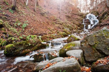 Şelale Shypit üzerinde Borzhava, Karpat mou Pylypets Köyü