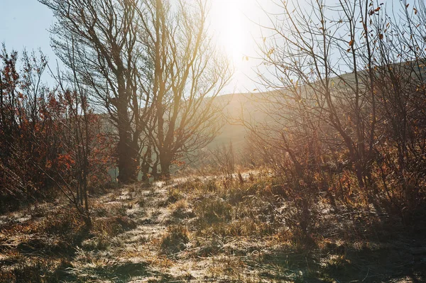 A sun fény fény őszi hegyek fagyasztott bozótossal. — Stock Fotó