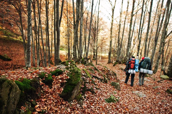 가 숲을 걷고 배낭 두 관광. — 스톡 사진