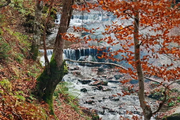 Ríos de montaña en otoño majestuoso bosque — Foto de Stock