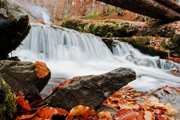 Los rápidos del río de montaña en otoño majestuoso bosque con hoja caída — Foto de Stock