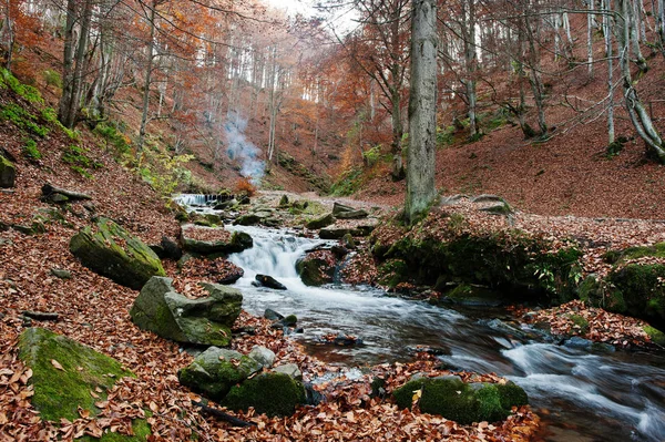 Mountain river rapids at autumn majestic forest with fallen leav