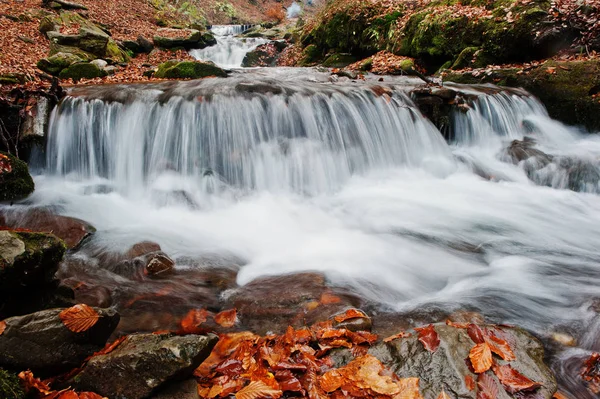 Los rápidos del río de montaña en otoño majestuoso bosque con hoja caída — Foto de Stock