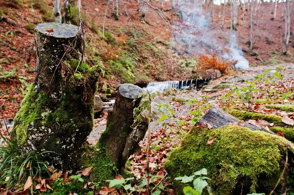 Dos tocones con musgo en otoño bosque fondo río y humo — Foto de Stock