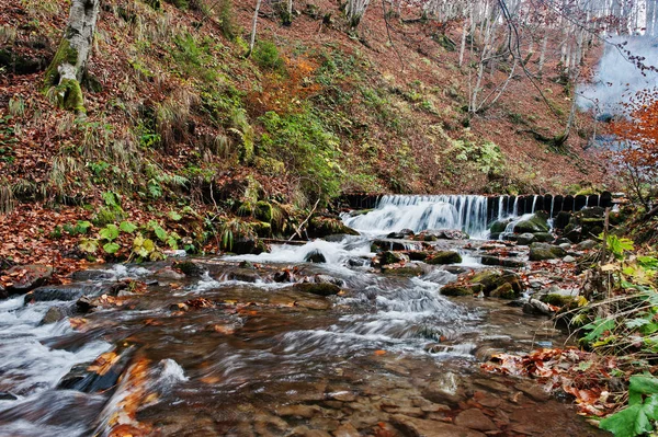 Los rápidos del río de montaña en otoño majestuoso bosque con hoja caída — Foto de Stock